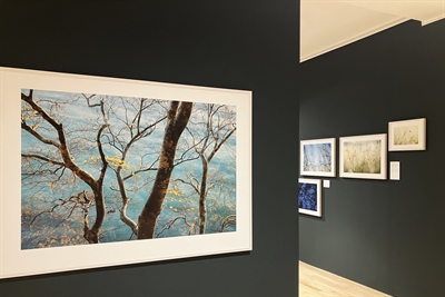 Bildderwände der Ausstellung