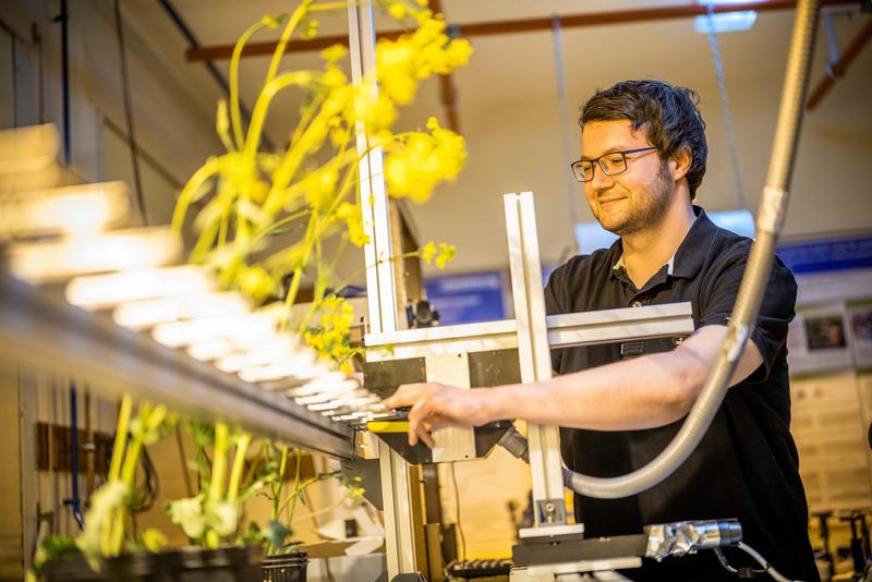 Jochen Taiber im Pflanzenlabor der Marburger Terahertz-Gruppe.