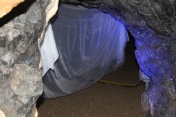 Dechenhöhle