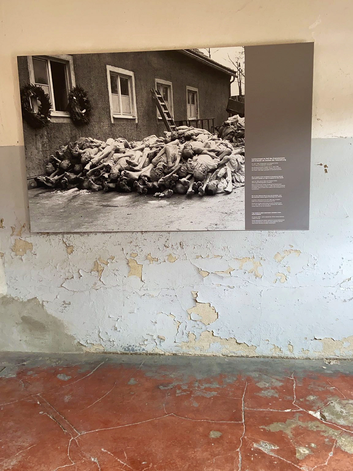 signal 2023 04 14 120658